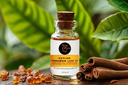 Ceylon Cinnamon Oil
