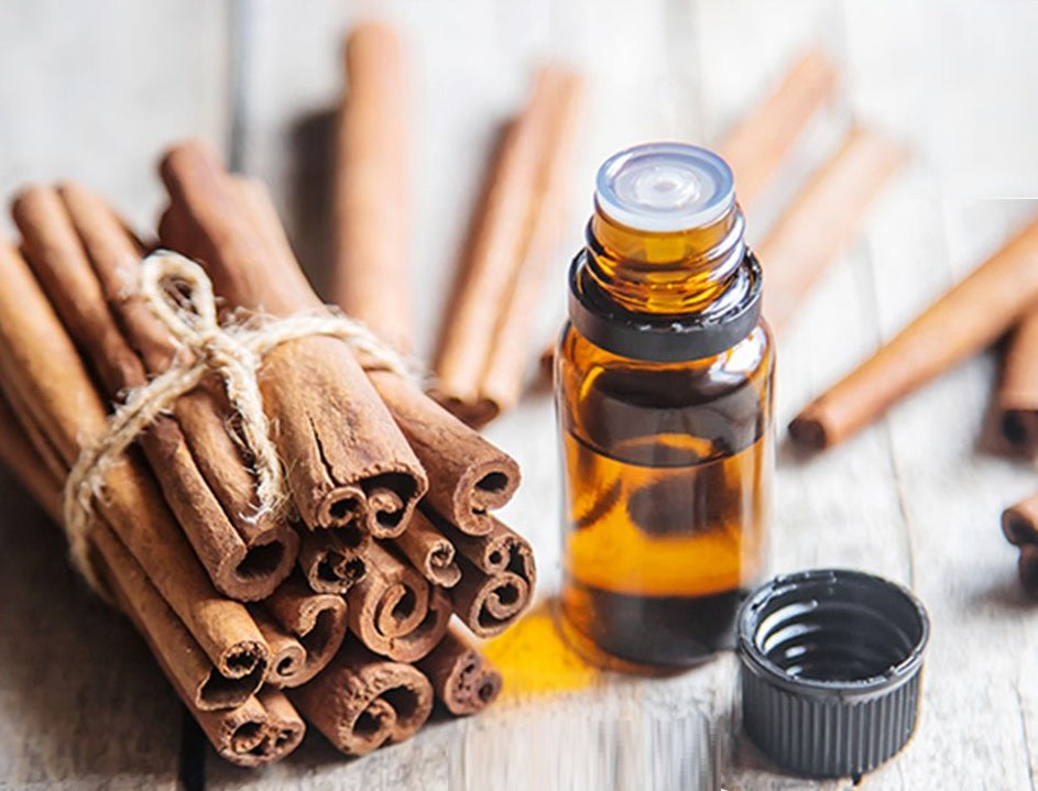 Ceylon Cinnamon Oil