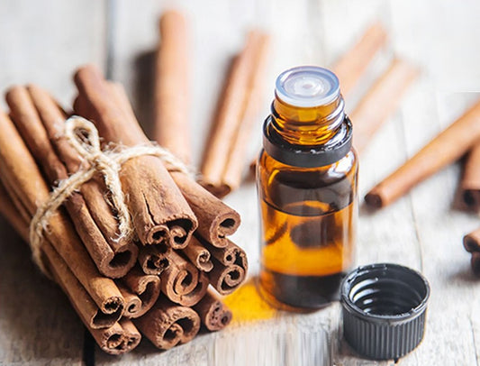 Ceylon Cinnamon Oil